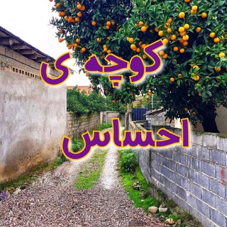 کوچه ی احساس دایی رضا