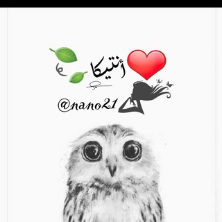 ?أنتيكا❤