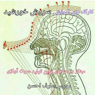 صدا ، آواز ، آموزش ، موسیقی