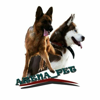 Arena kennel