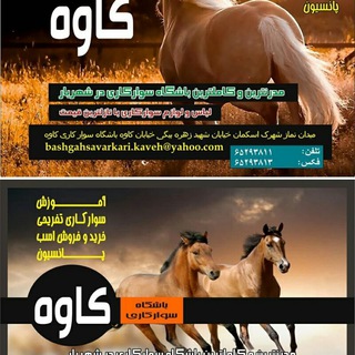 باشگاه سوارکاری کاوه