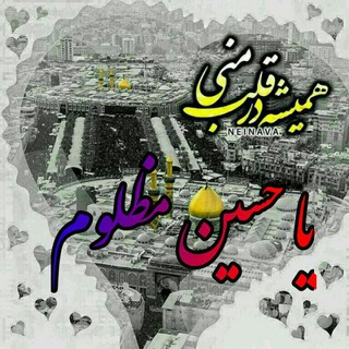 عاشقان امام حسین(ع)