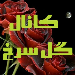 گل سرخ