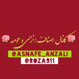 اصناف وصاحبان مشاغل انزلی و حومه