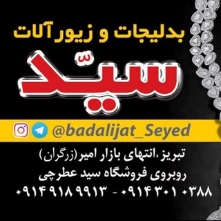 بدلیجات سیّد