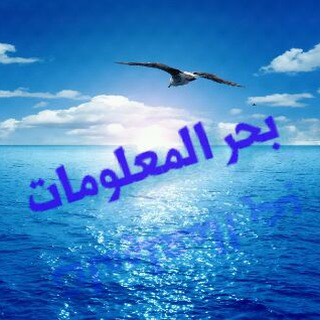 بحر المعلومات