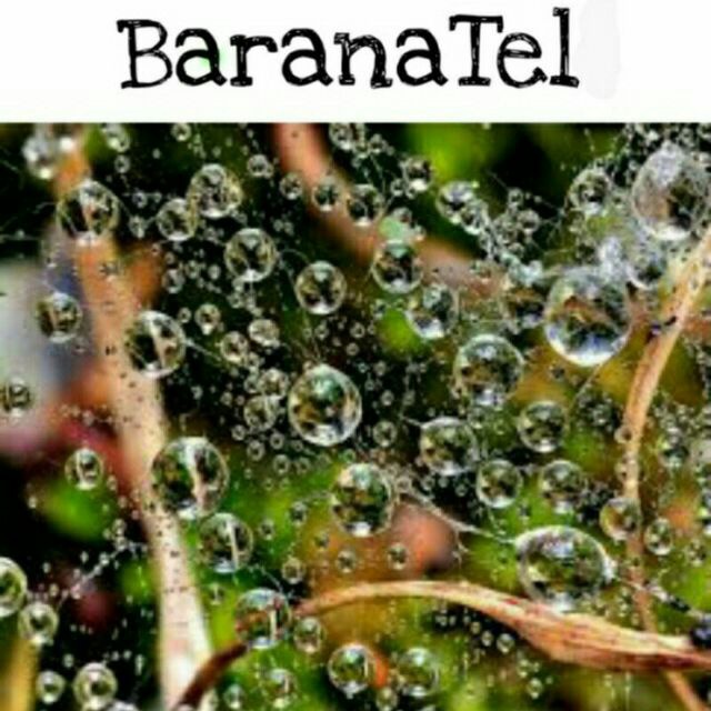 ? BaranaTel?