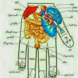 سوجوک یعنی درمان بدون دارو