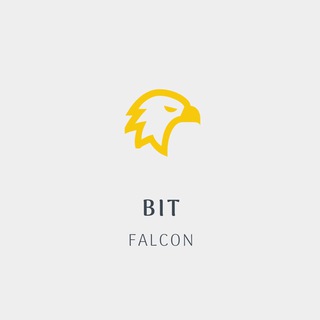 BIT FALCON | بیت فالکون