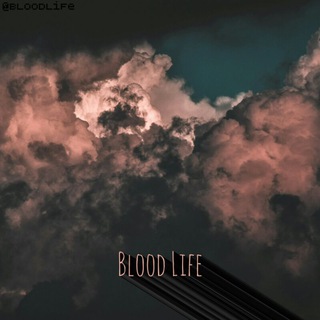 ｢ Blood Life ｣