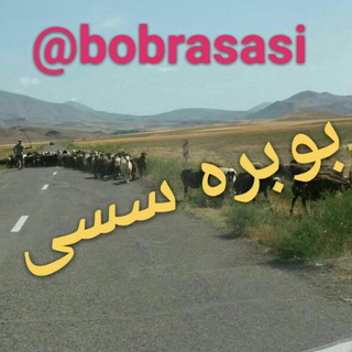 بوبره سسی