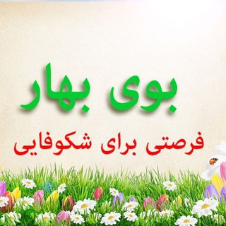 بوی بهار