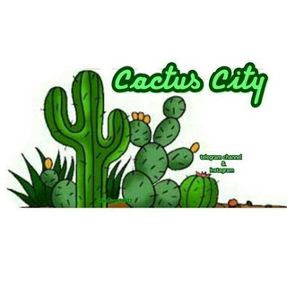 Cactus City