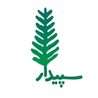 کافه سپیدار