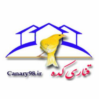 تعرفه تبلیغات در قناری کده