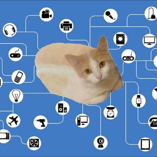 Catloaf Network