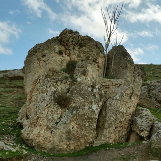 کانال چشمه سنگی ها