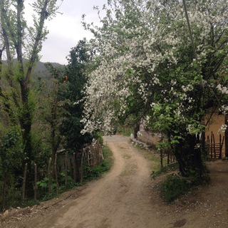 روستای چی چی نی کوتی