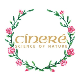 Cinere سینره