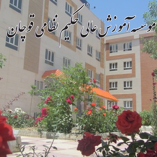 موسسه حکیم نظامی