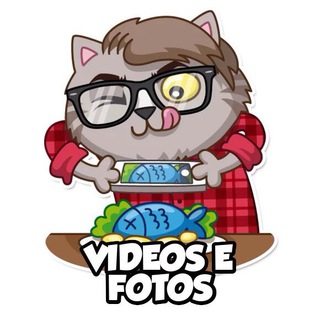 Videos fotos