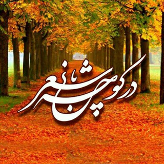 کوچه باغ شعر