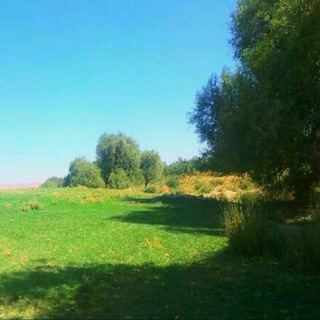 کانال رسمی دشت مرغاب