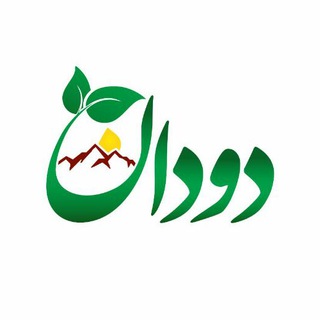 ? دَودان ?