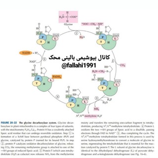 Clinical_Biochemistry School