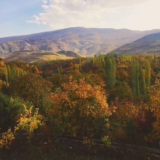 مجله دورهمی