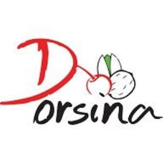 Dorsina.co