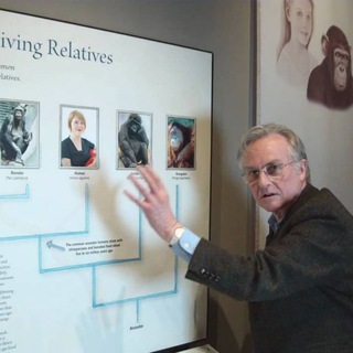 Video dawkins evolution