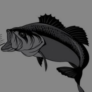 #EDMFish - Channel