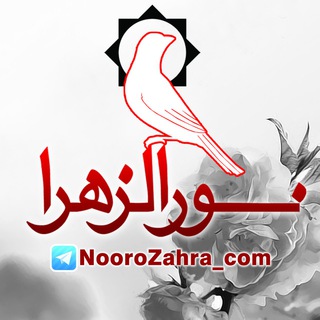 ? فروشگاه نورالزهرا ?