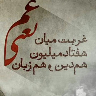 ™ فلکه نیوز