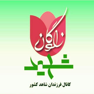 کانال فرزندان شاهد کشور