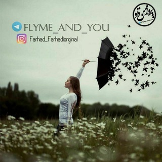 _Fly Me And You_