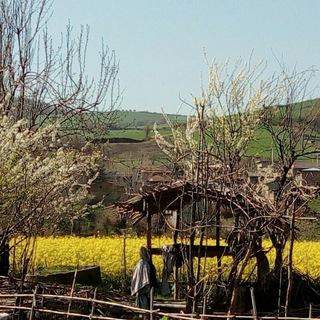 ?دهکده زیبای(محمدآباد)?