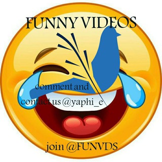 FUNNY VIDEOS