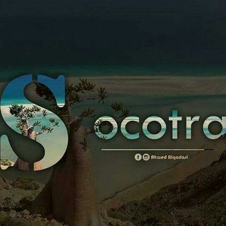 ?Socotra♡ island?