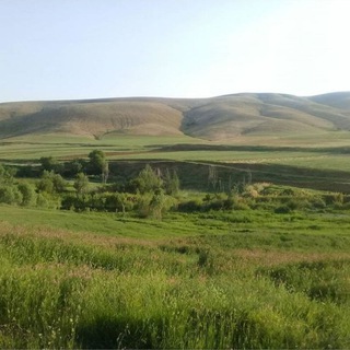 کانال رسمی "قرینه دره"