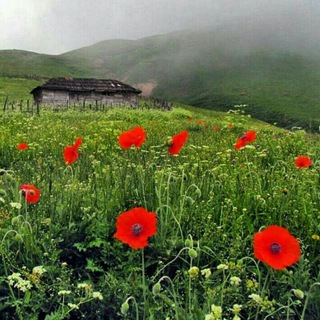 گیلان بهشت ایران