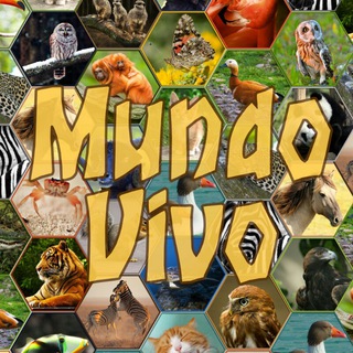 Mundo Vivo