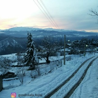 کانال رسمی گندیسکلا