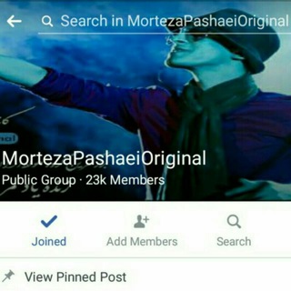 Group: morteza pashaei Original