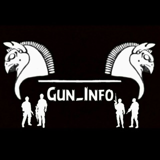 GUN INFO