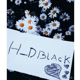 H_D BLACK