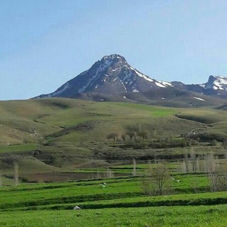 همه کسی قديم