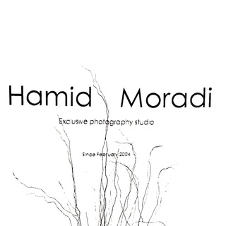 Hamid Moradi (Photography Education)