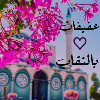 《♡ عفيفات بالنقاب ♡》